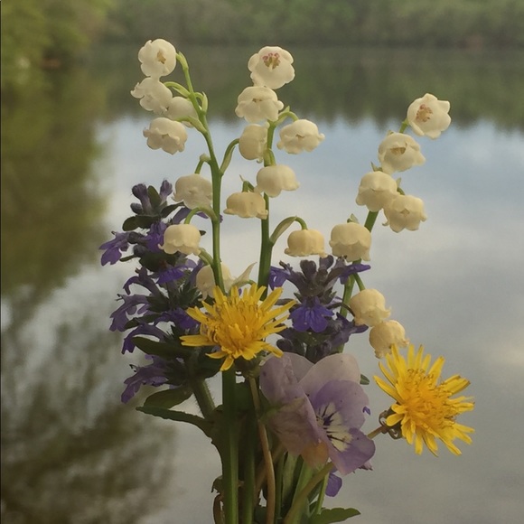 Meet your Posher, Monica - Picture 2 of 3